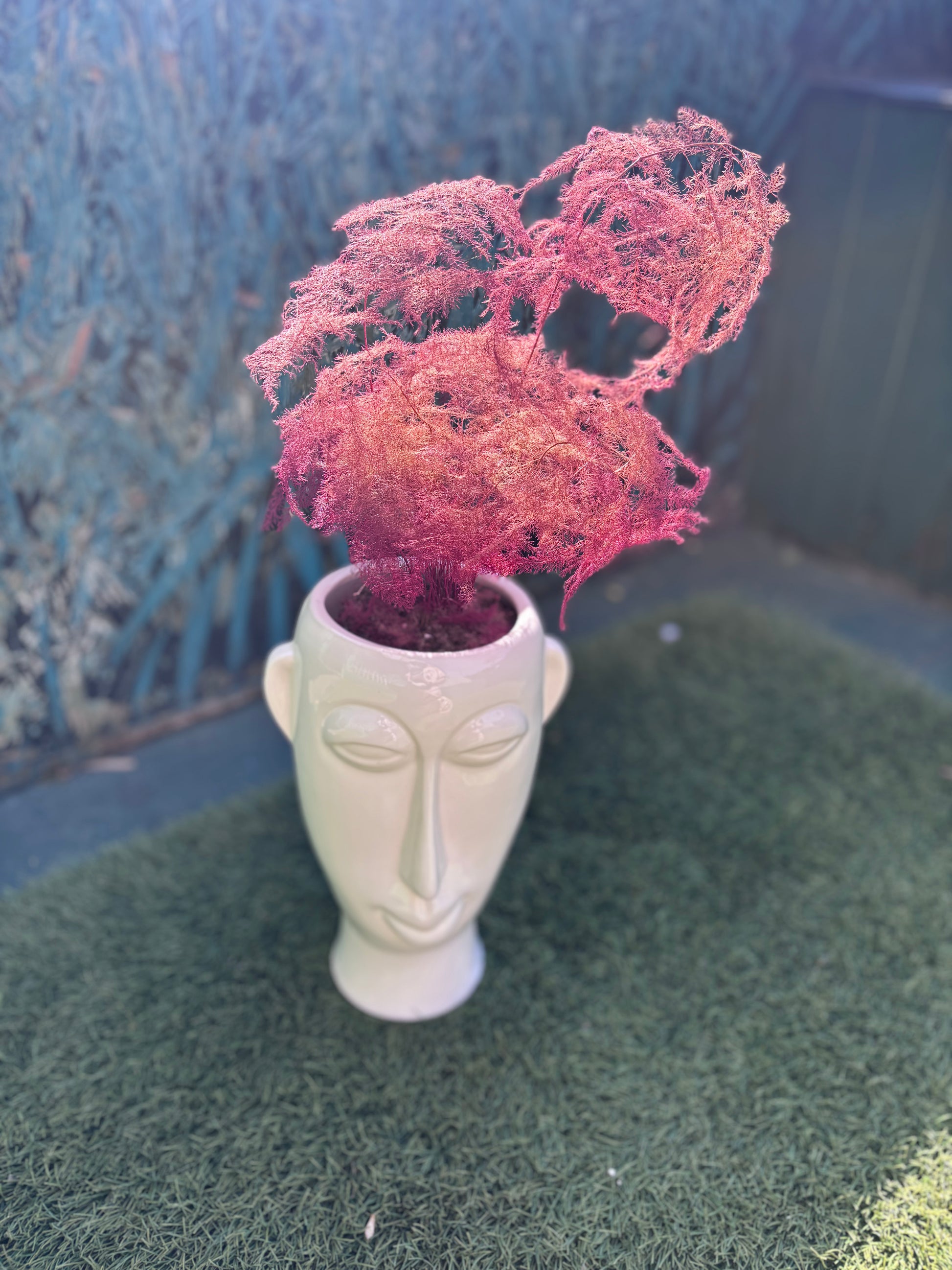 Ombre "Ghost Fern" with face planter-1