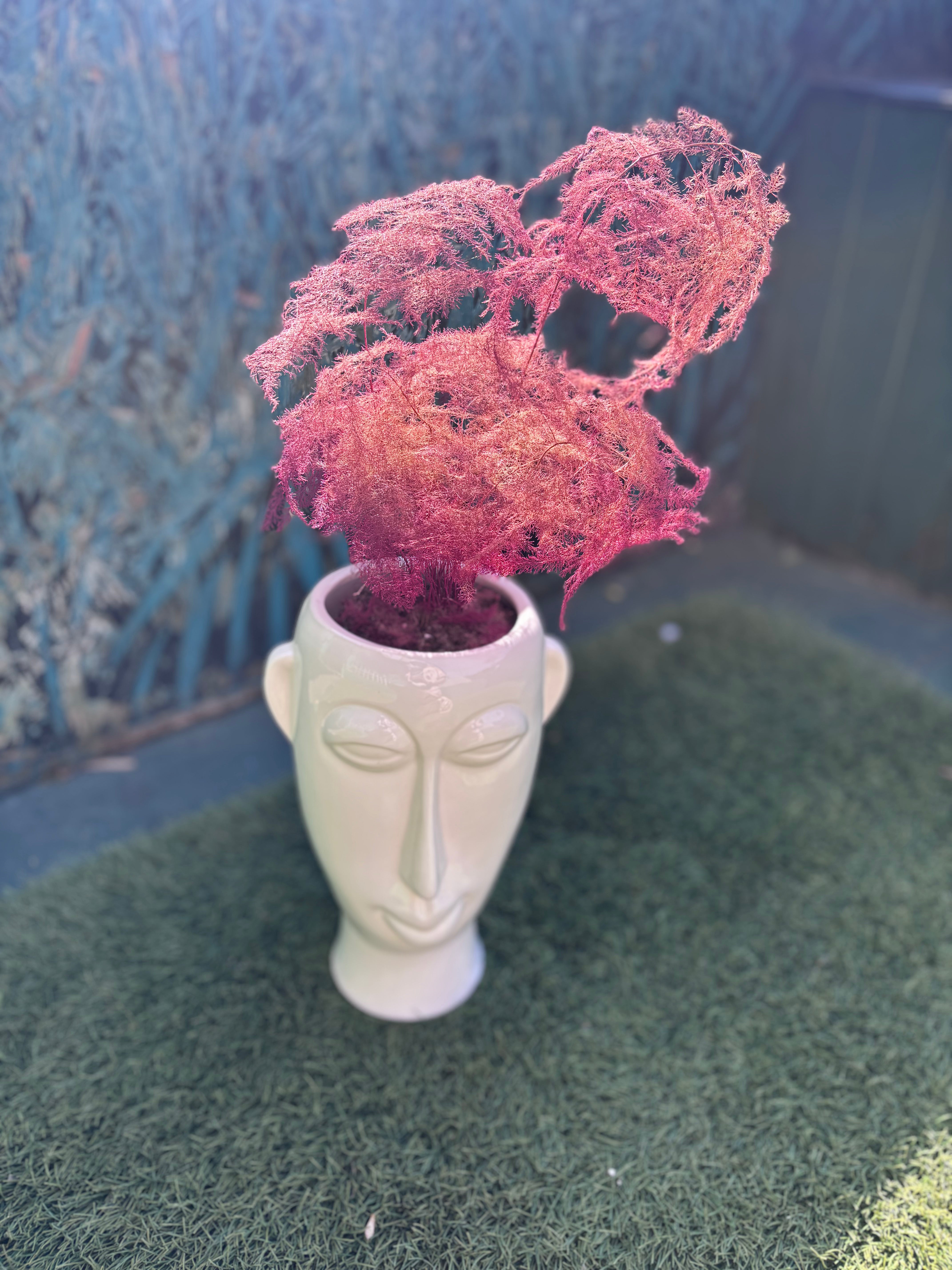 Ombre "Ghost Fern" with face planter
