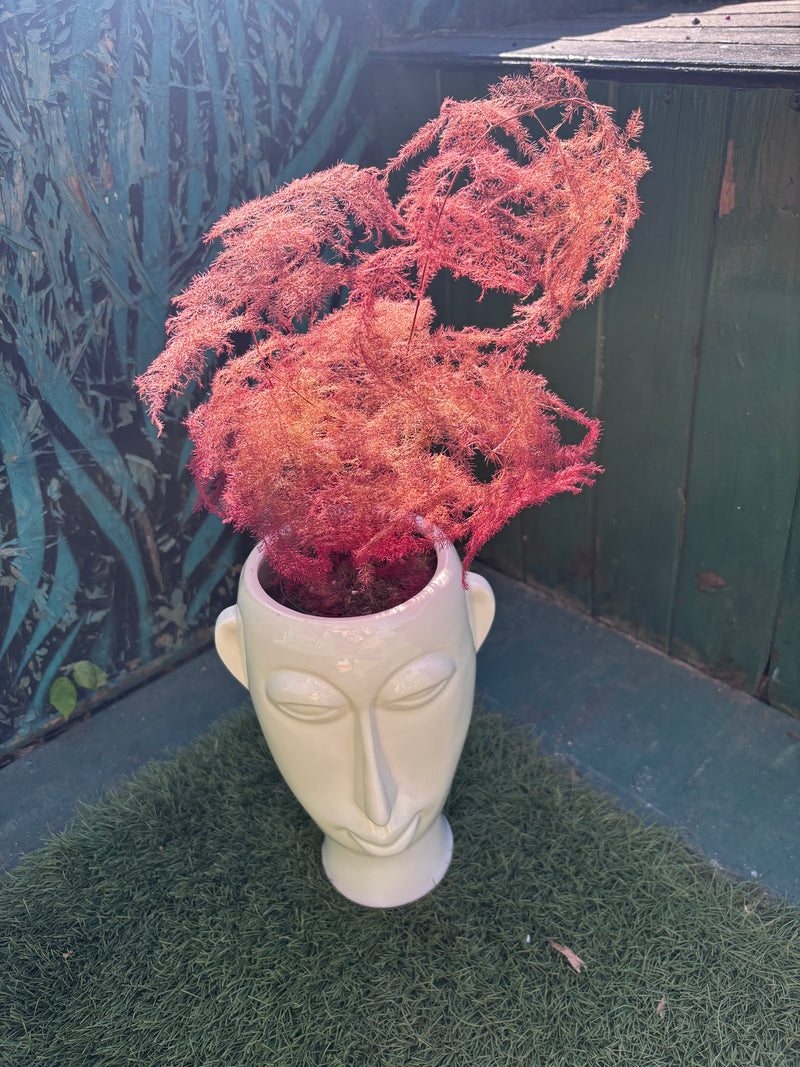 Ombre "Ghost Fern" with face planter-2