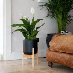 Lisbon Pot and Stand-3