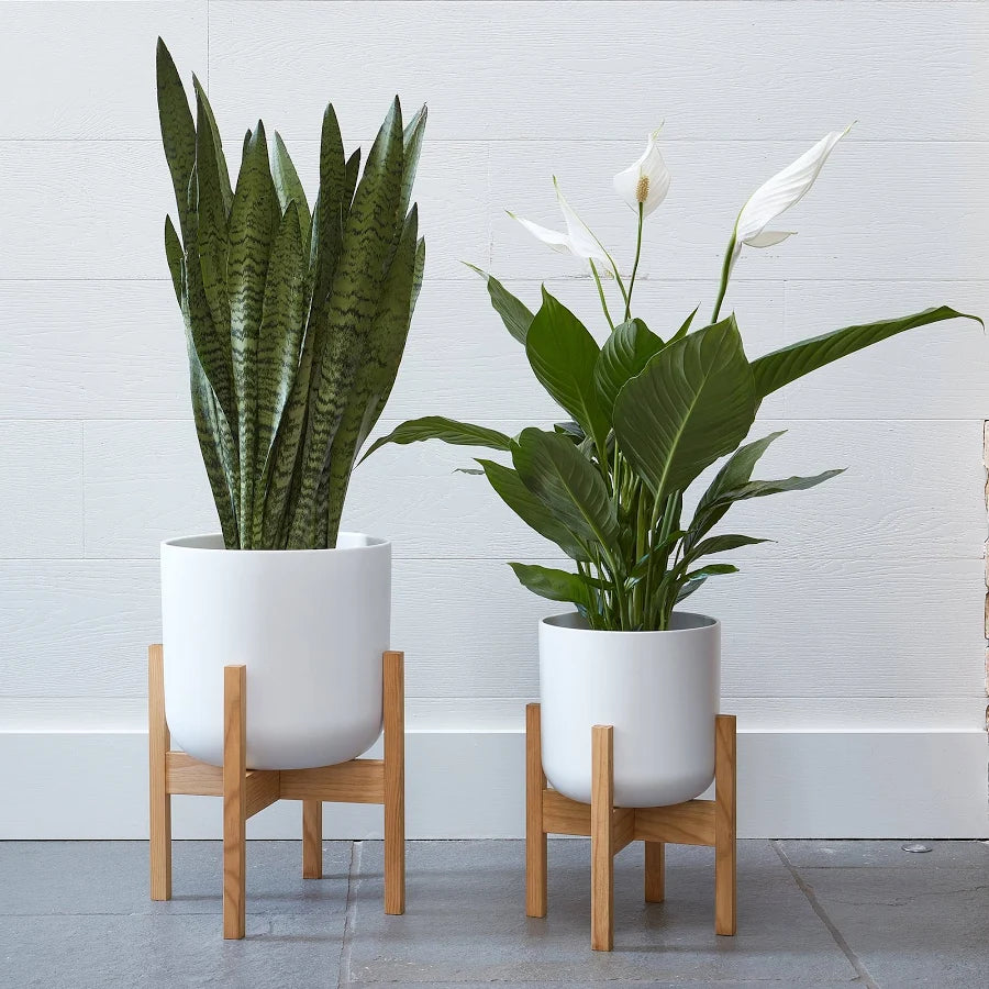 Lisbon Pot and Stand-4