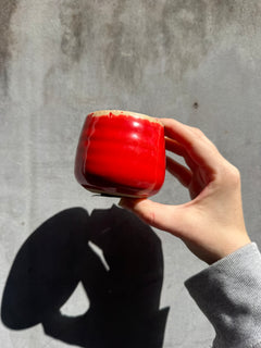 Small Red Planter-2