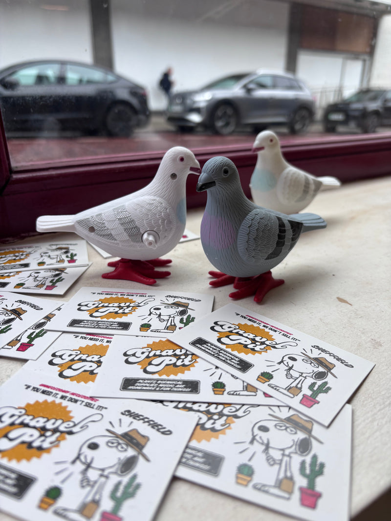 Wind Up Walking Pigeon Toy-1