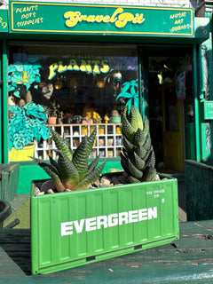 Shipping Container Planter (Green)-2