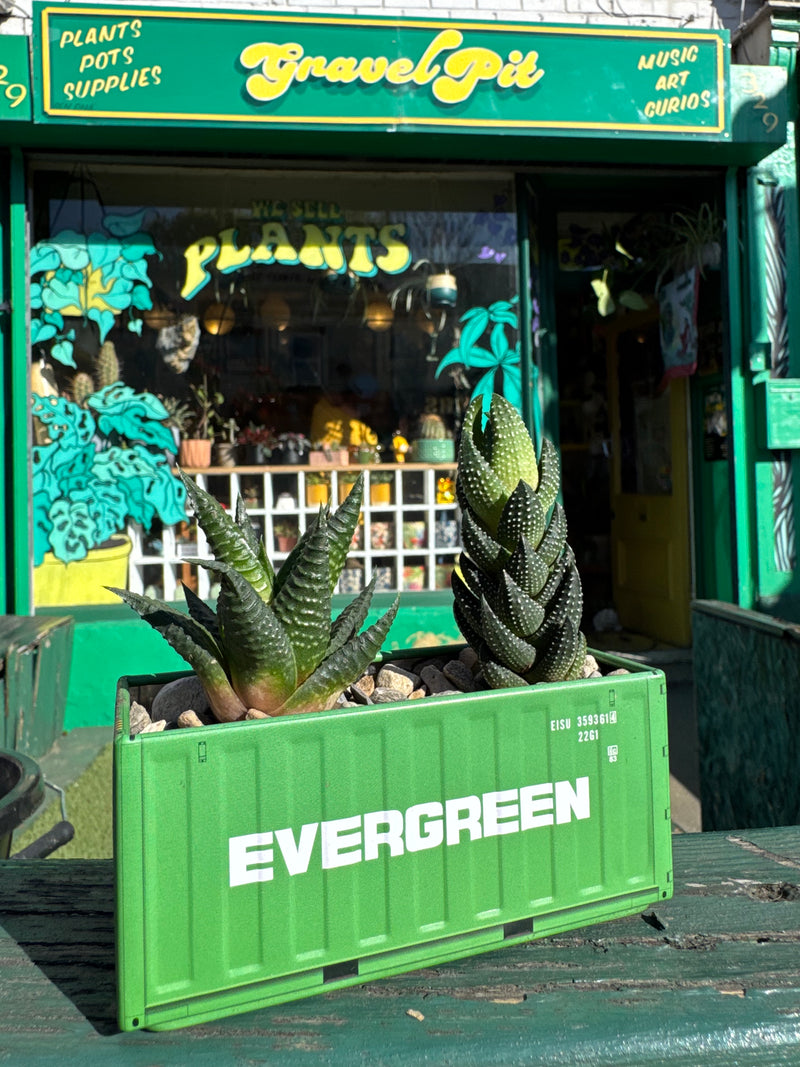 Shipping Container Planter (Green)-2