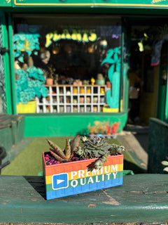 Shipping Container Planter (Rainbow)-2