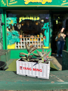 Shipping Container Planter (White)-2