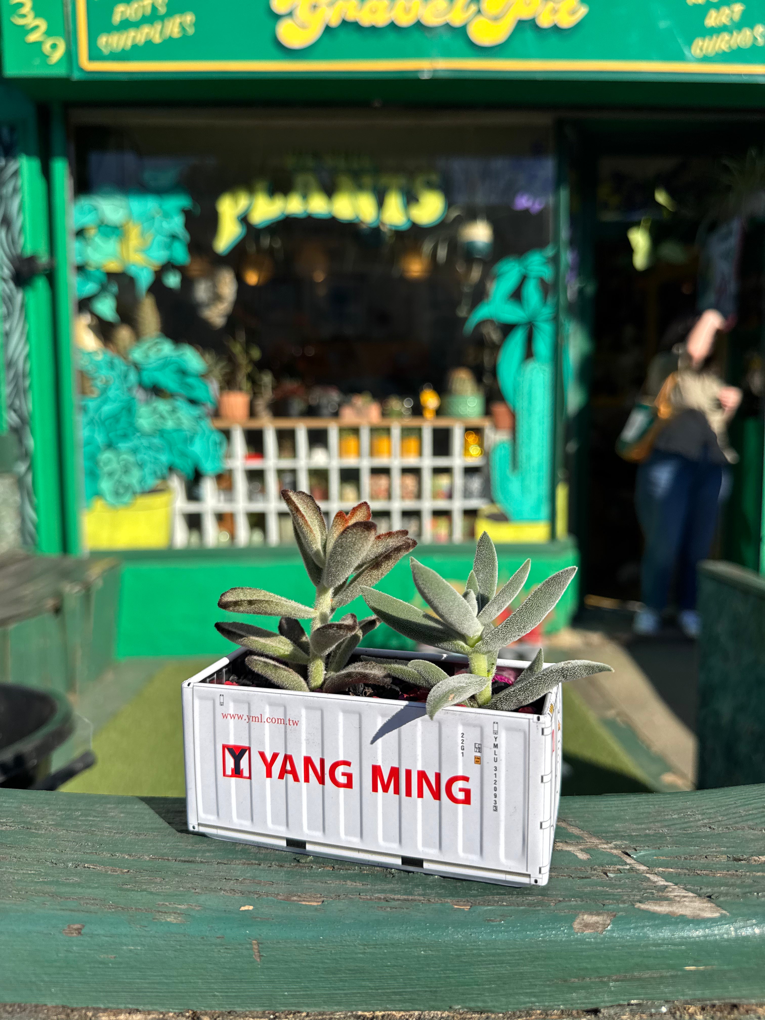 Shipping Container Planter (White)