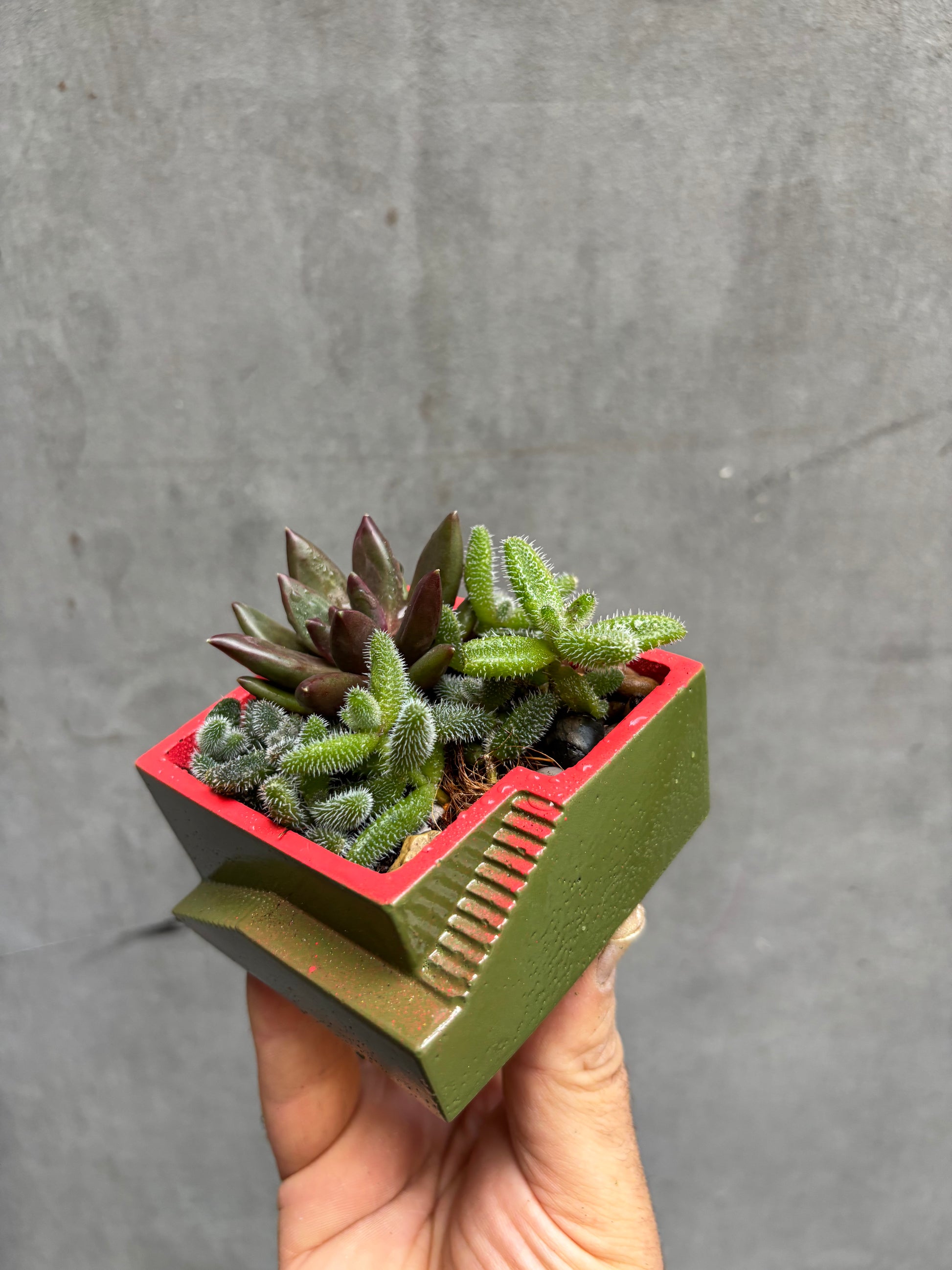 Custom Steps Planter-14