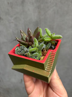Custom Steps Planter-1