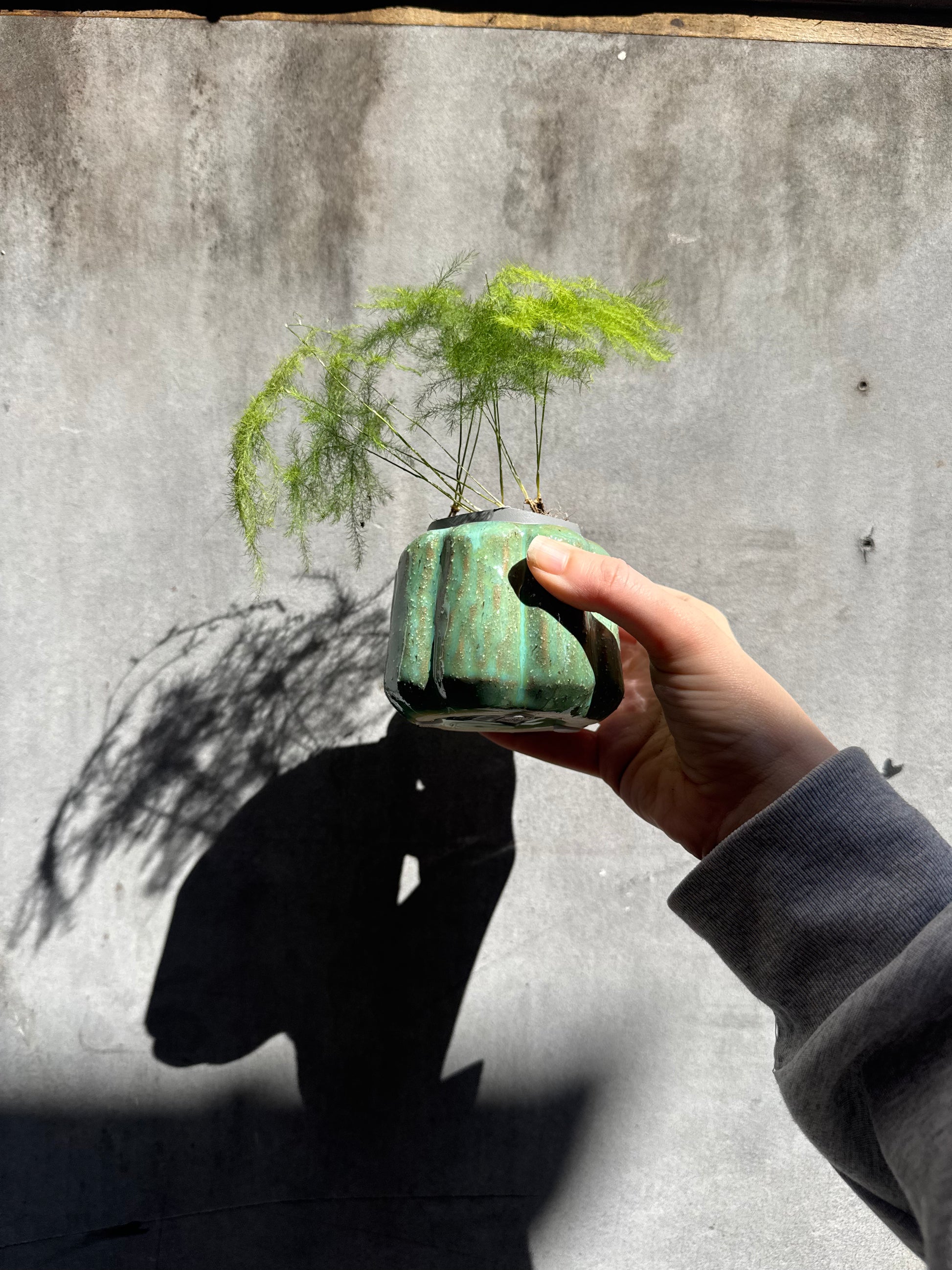 Small Green Planter-1