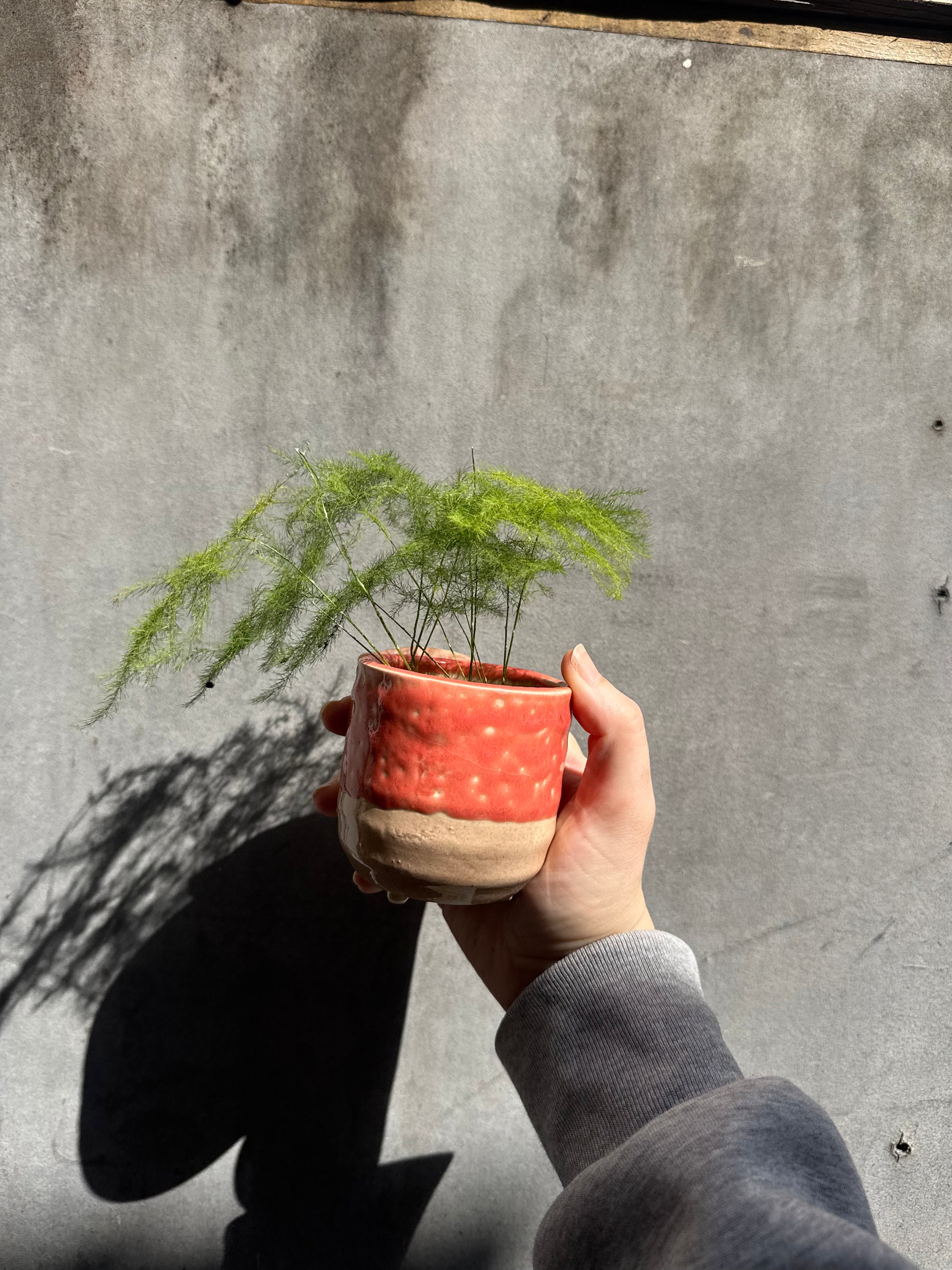 Titan Reactive Glaze Planter with Foot-1