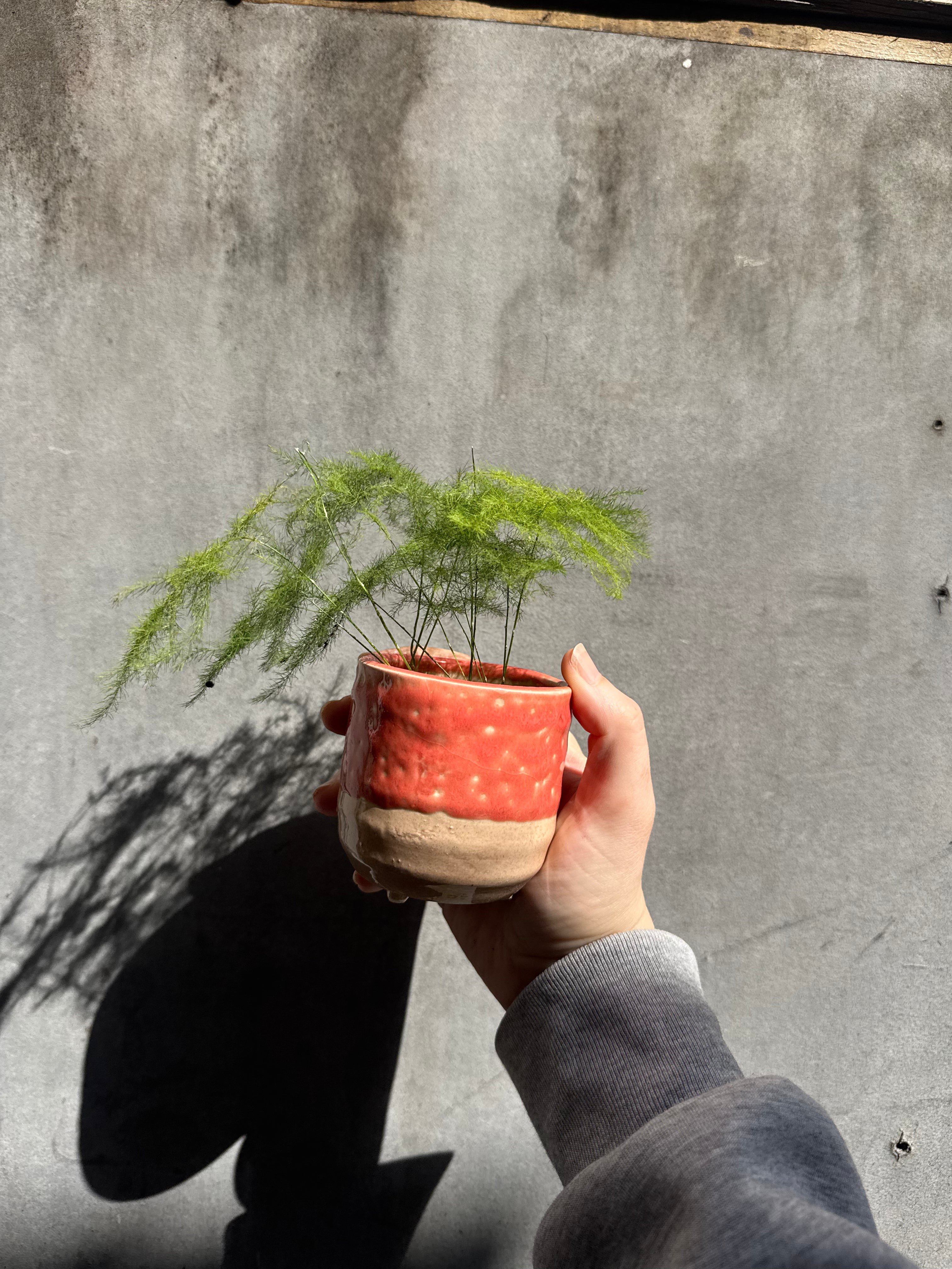 Titan Reactive Glaze Planter with Foot