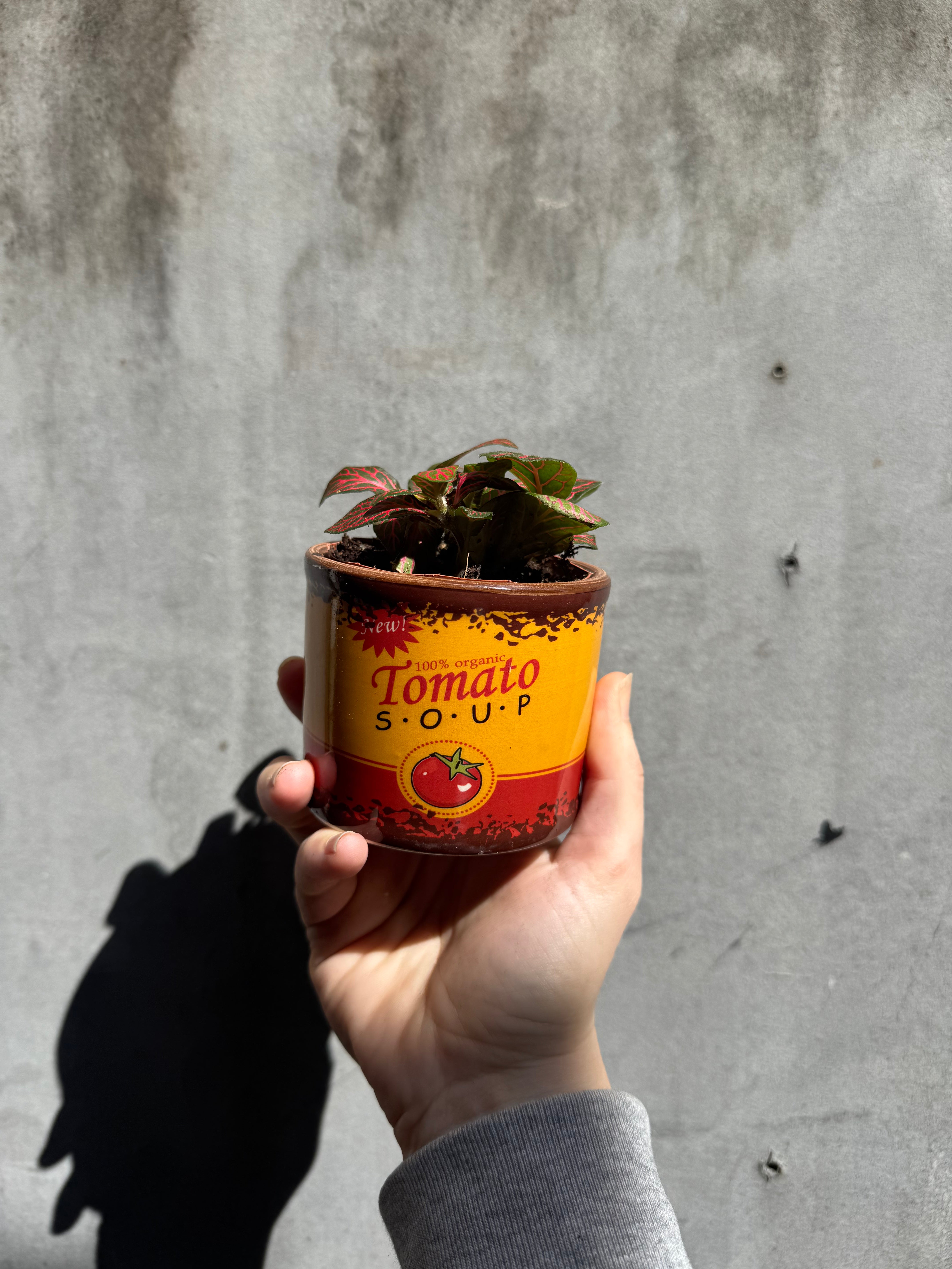 Tomato Soup Tin Pot
