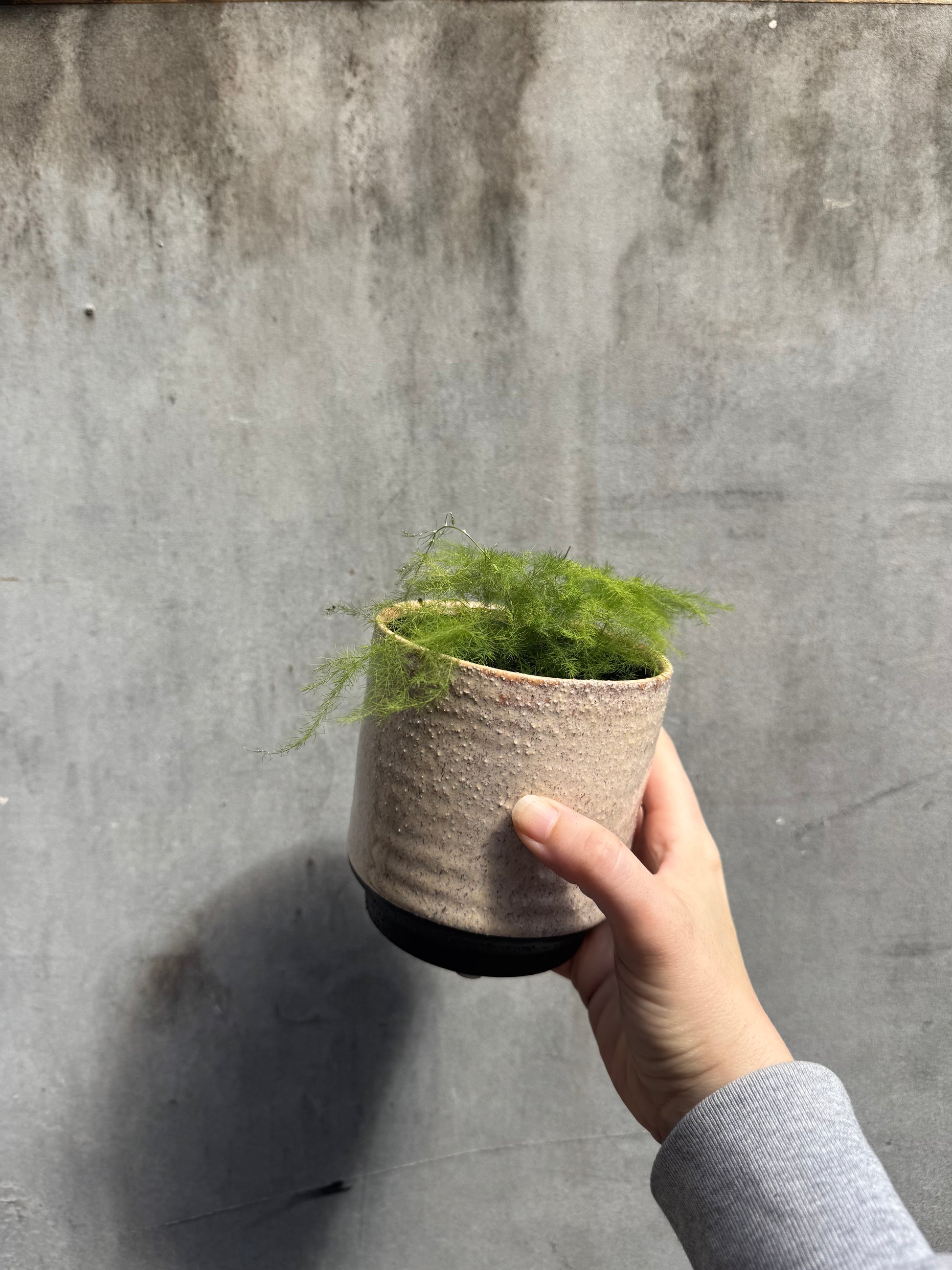 Ivory White Chambray Reactive Glaze Rustic Planter-1
