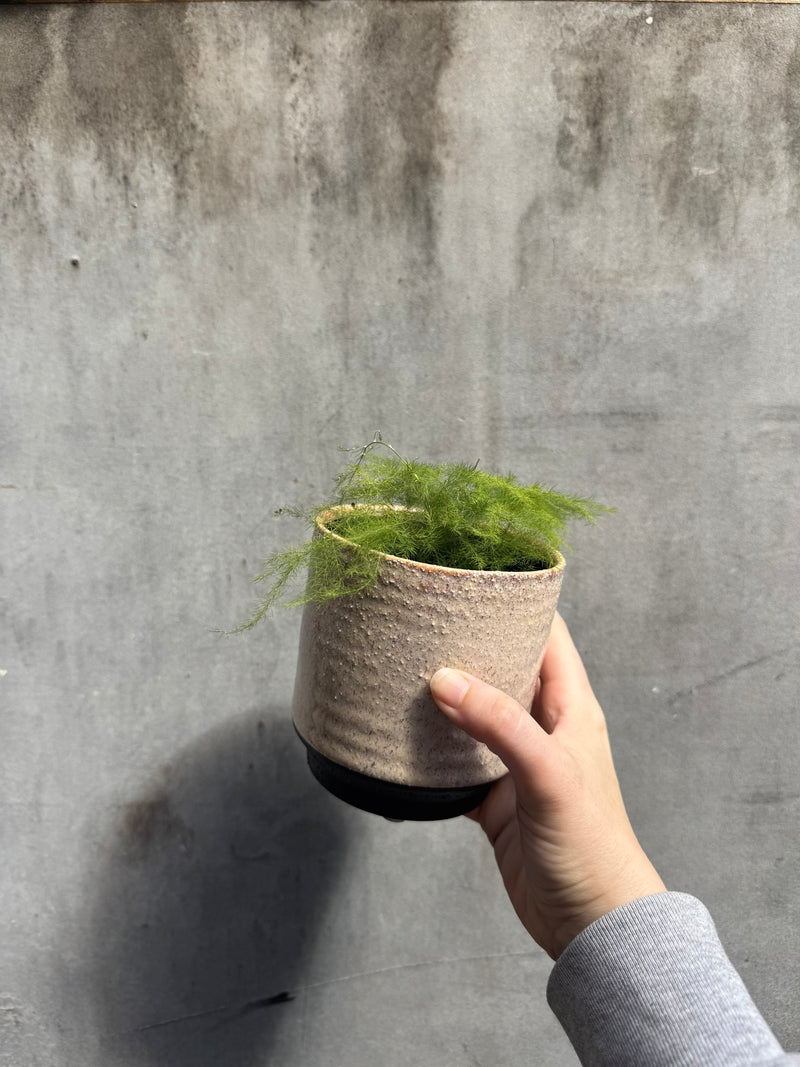 Ivory White Chambray Reactive Glaze Rustic Planter-1