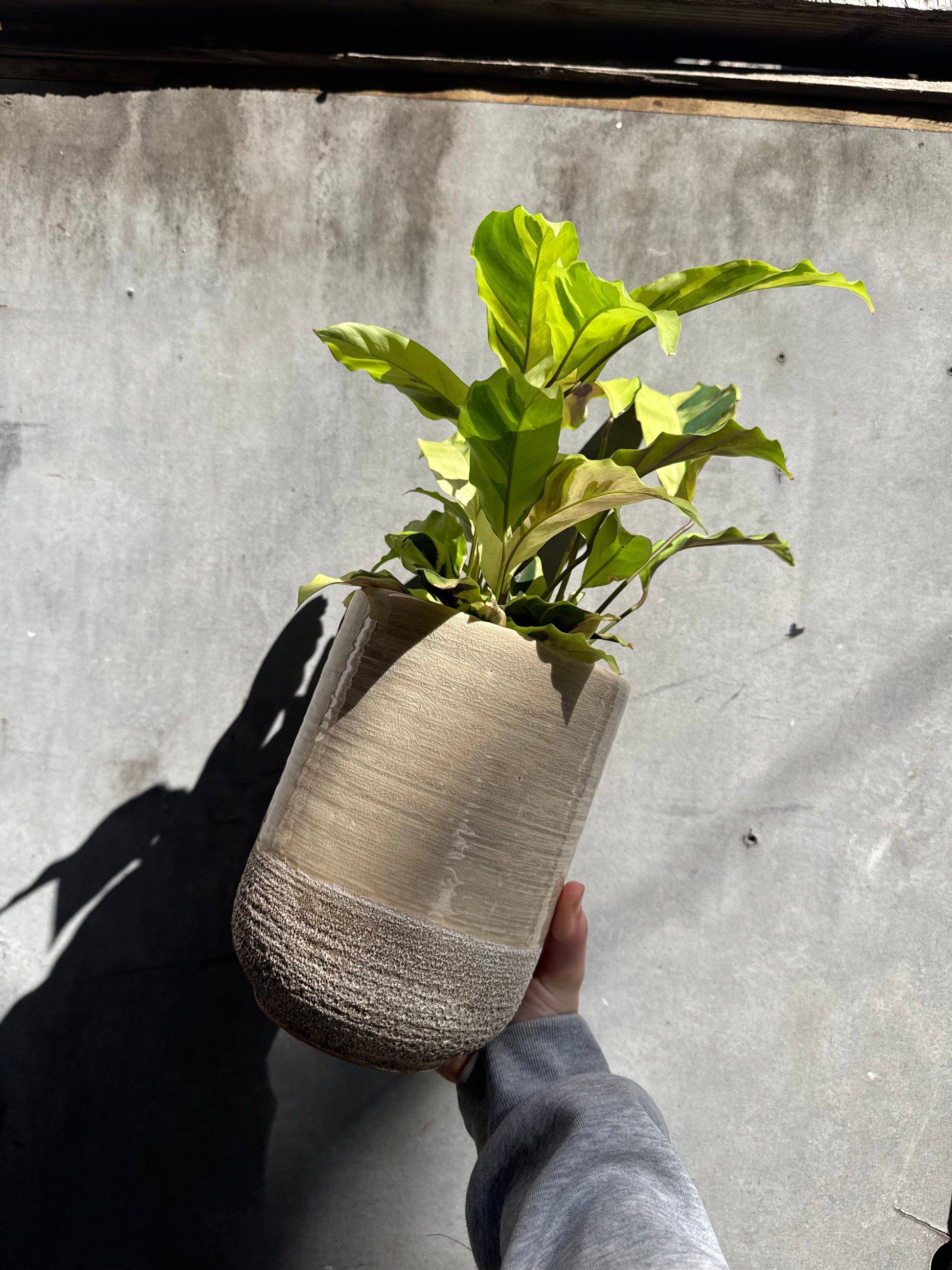 Vasto Planter-2