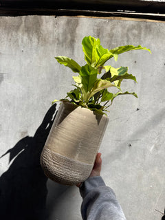 Vasto Planter-2