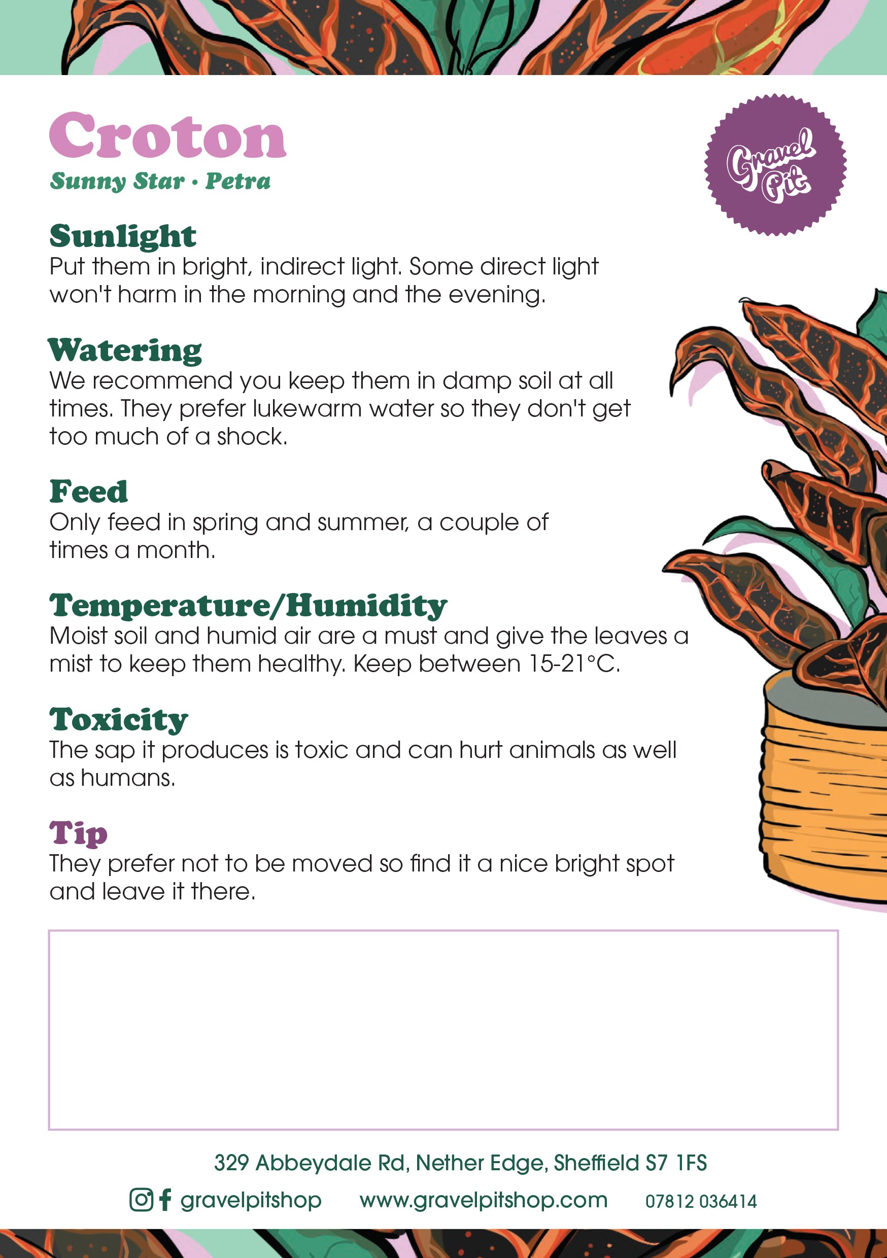 Croton
