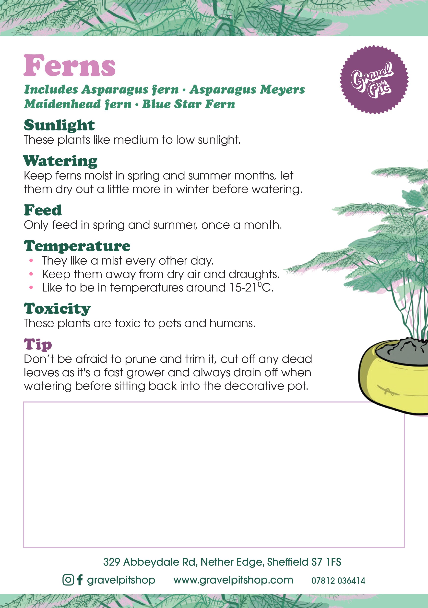 Fern