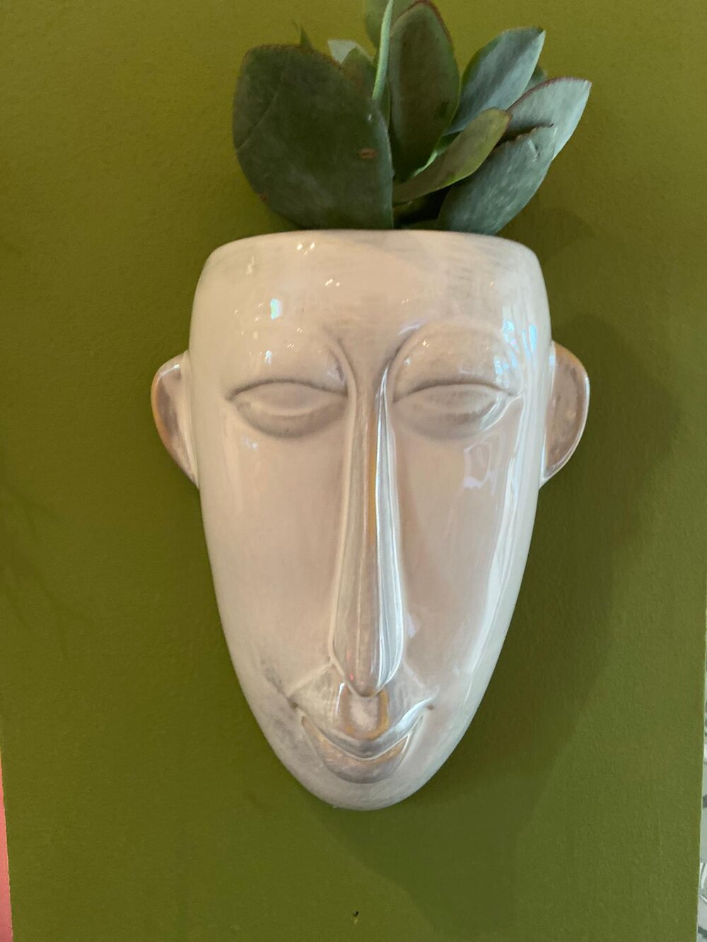 Face wall planters-8