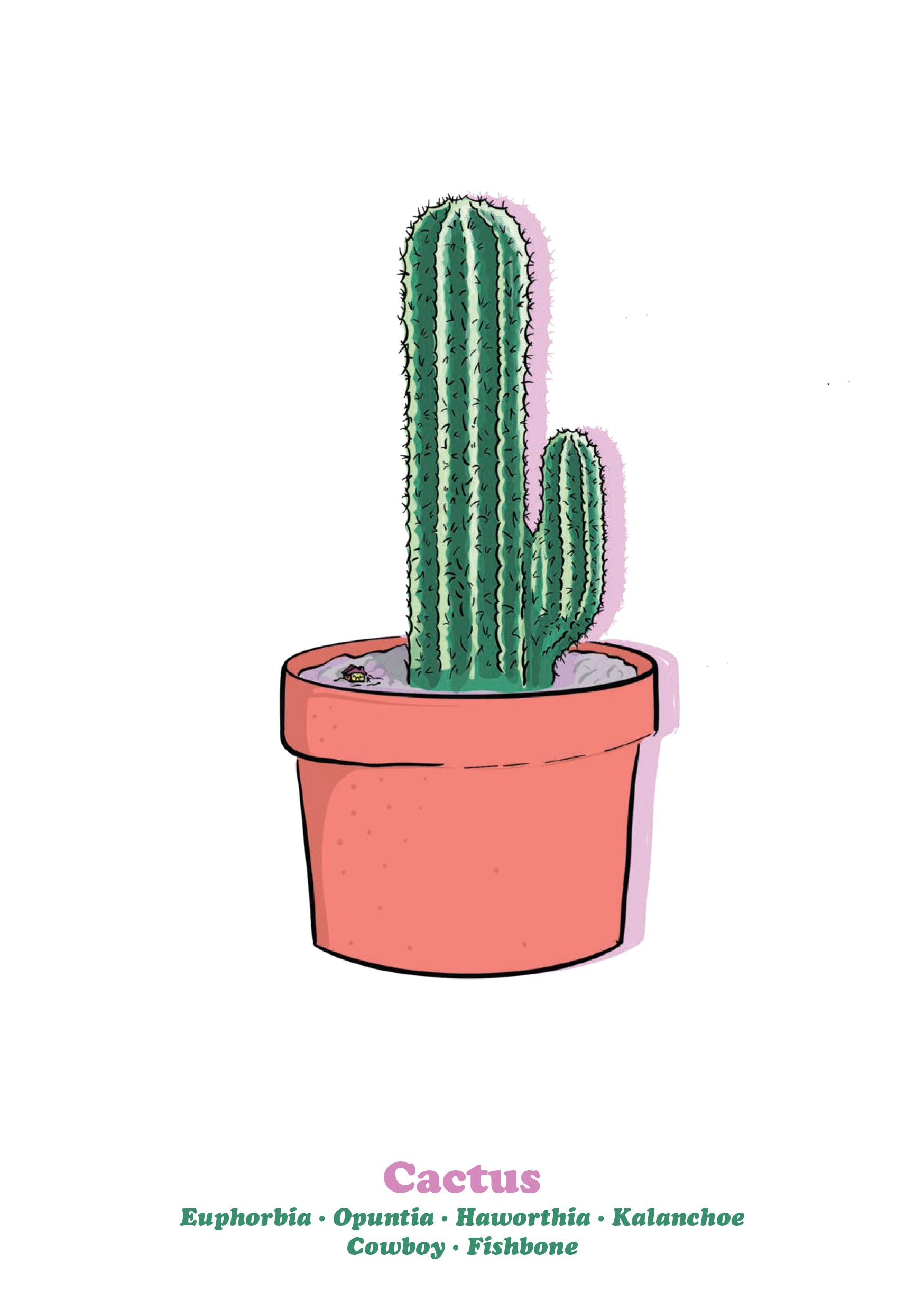 Cactus