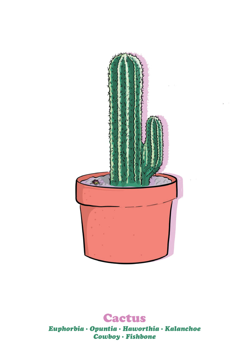 Cactus-1