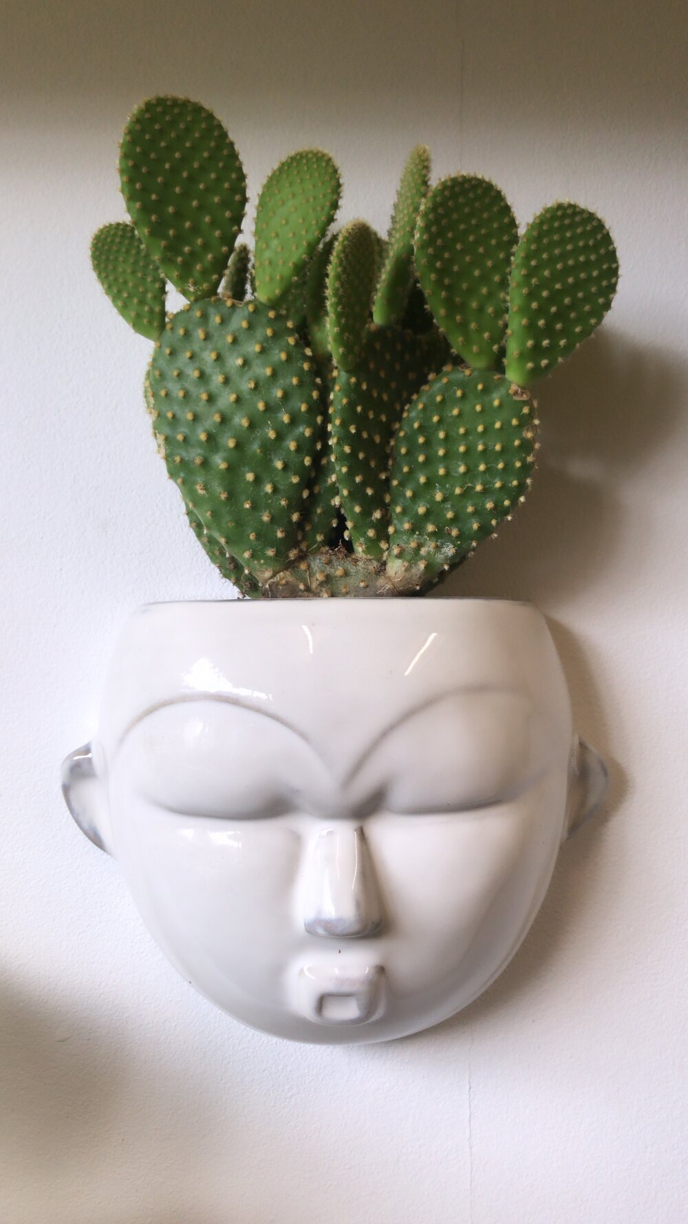 Face wall planters-6