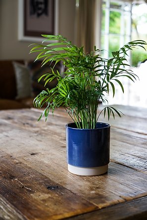 Eno Pots-19