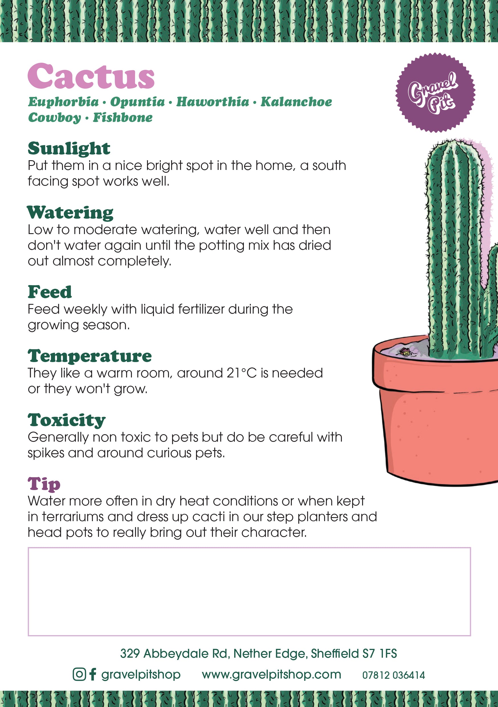 Fishbone Cactus Hanger-5