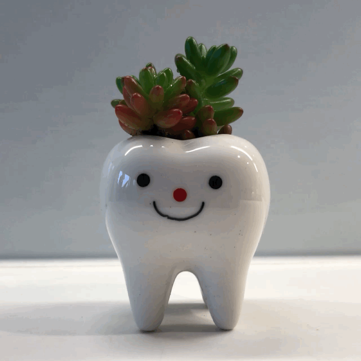 Toothy Pegs-2