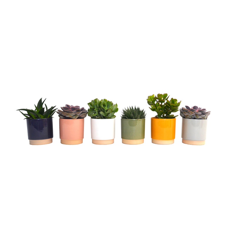 Eno Pots-20