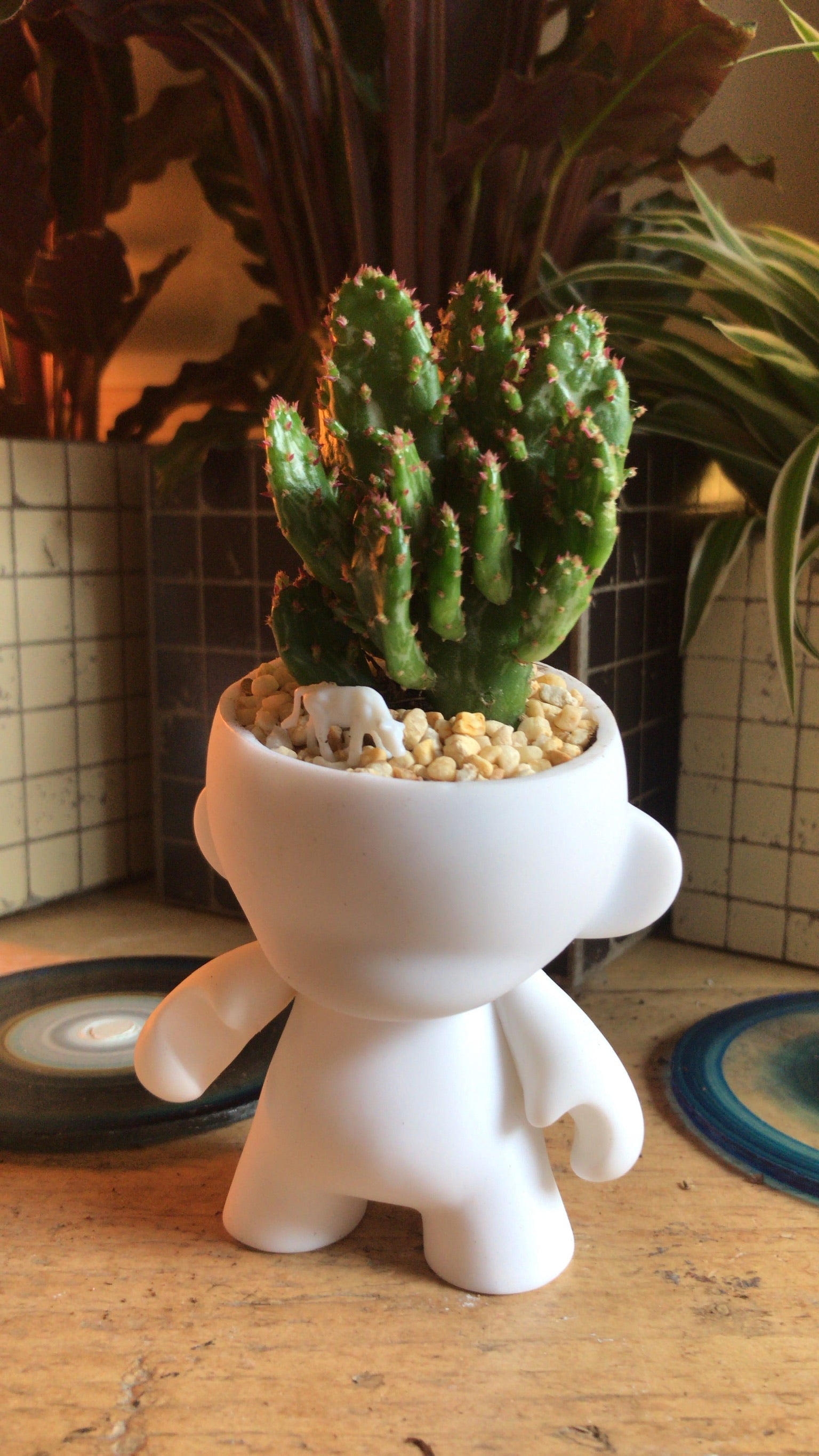 Custom Munny Planter-16