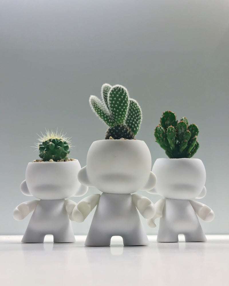 Custom Munny Planter-27