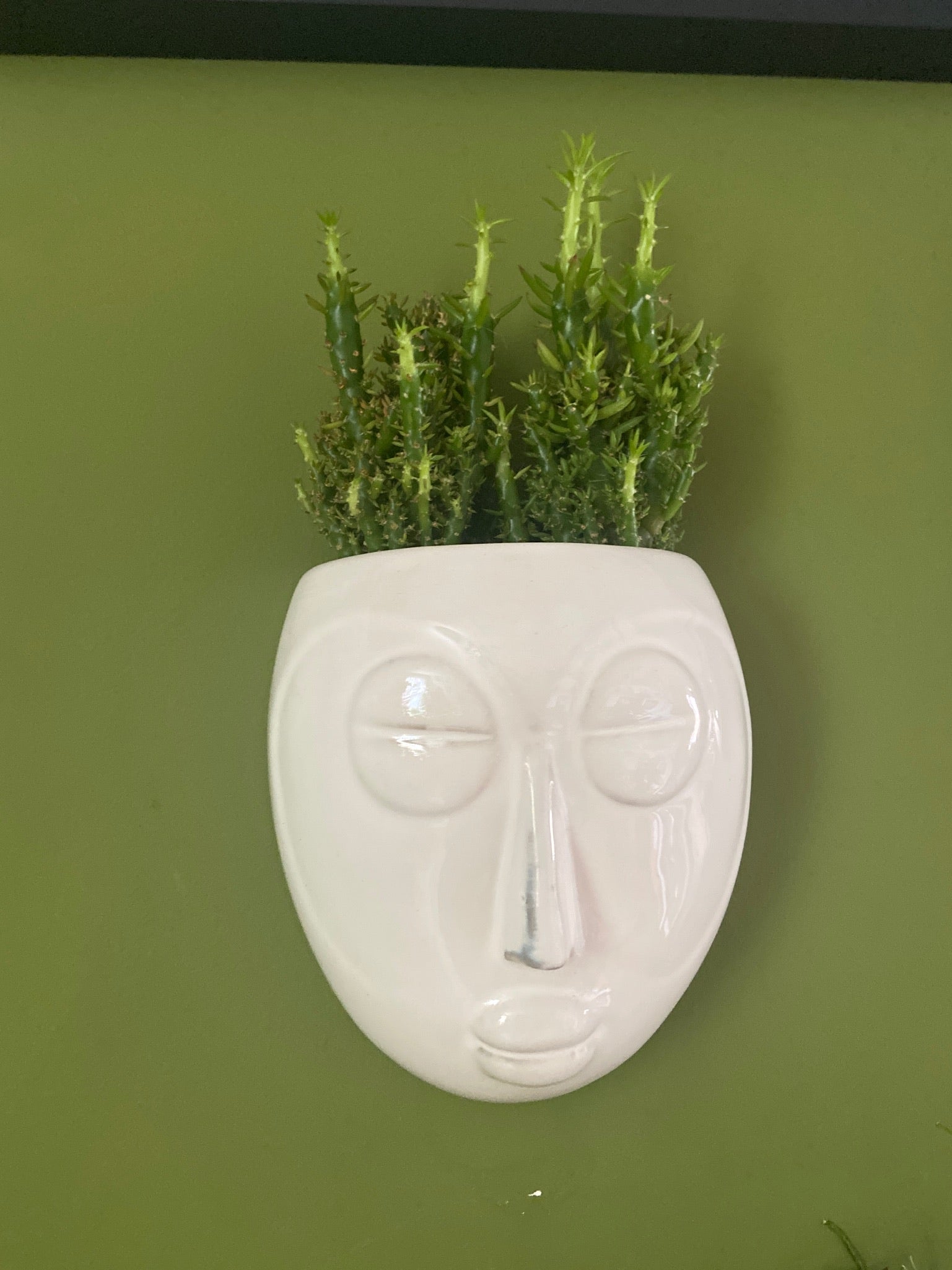 Face wall planters-3