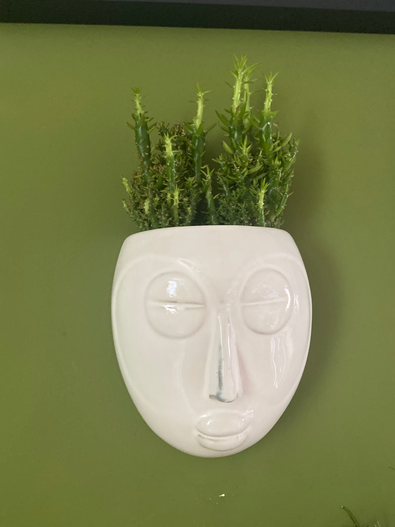 Face wall planters-3