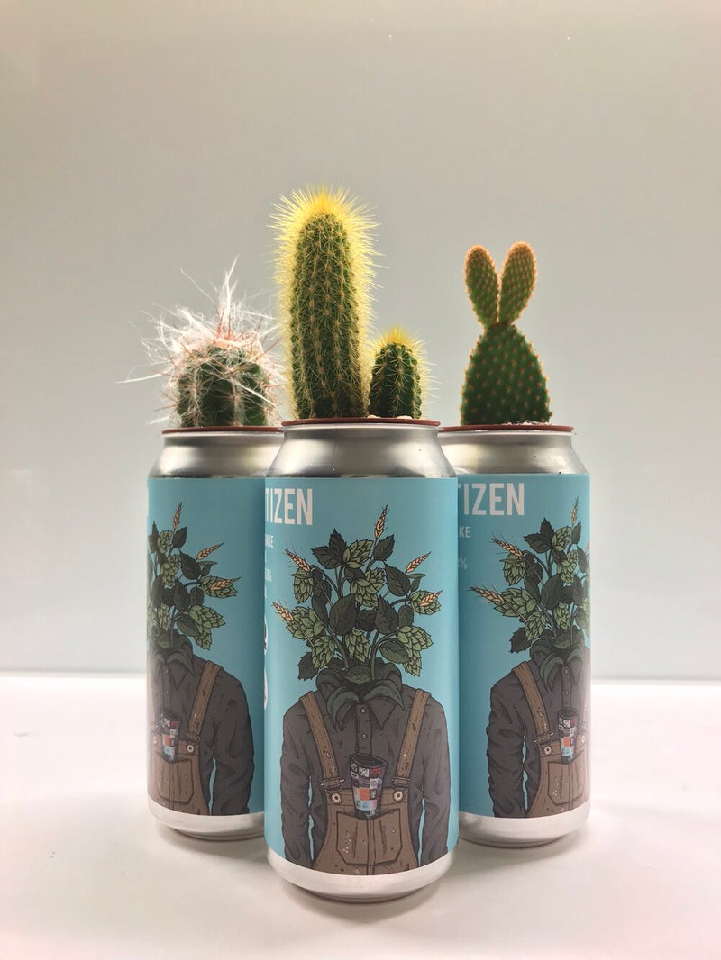 Cactus Can-6
