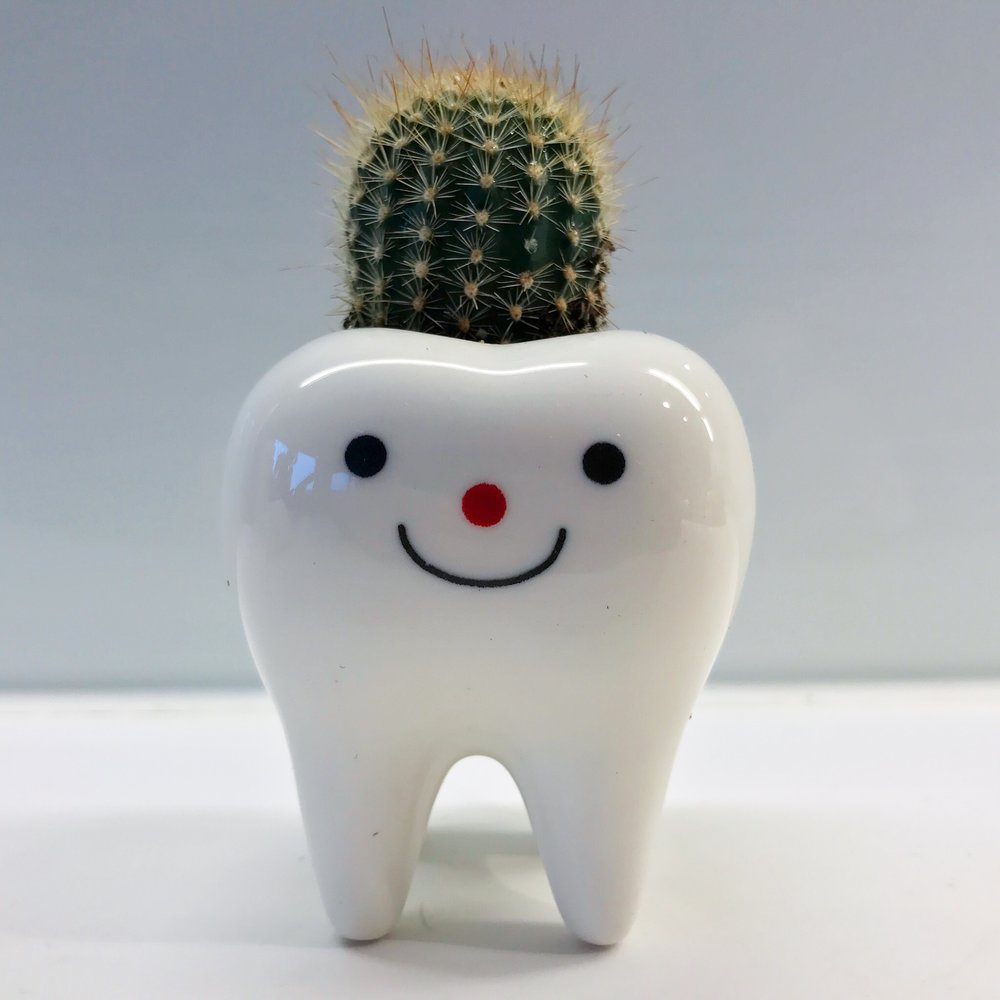 Toothy Pegs-6