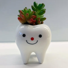 Toothy Pegs-4