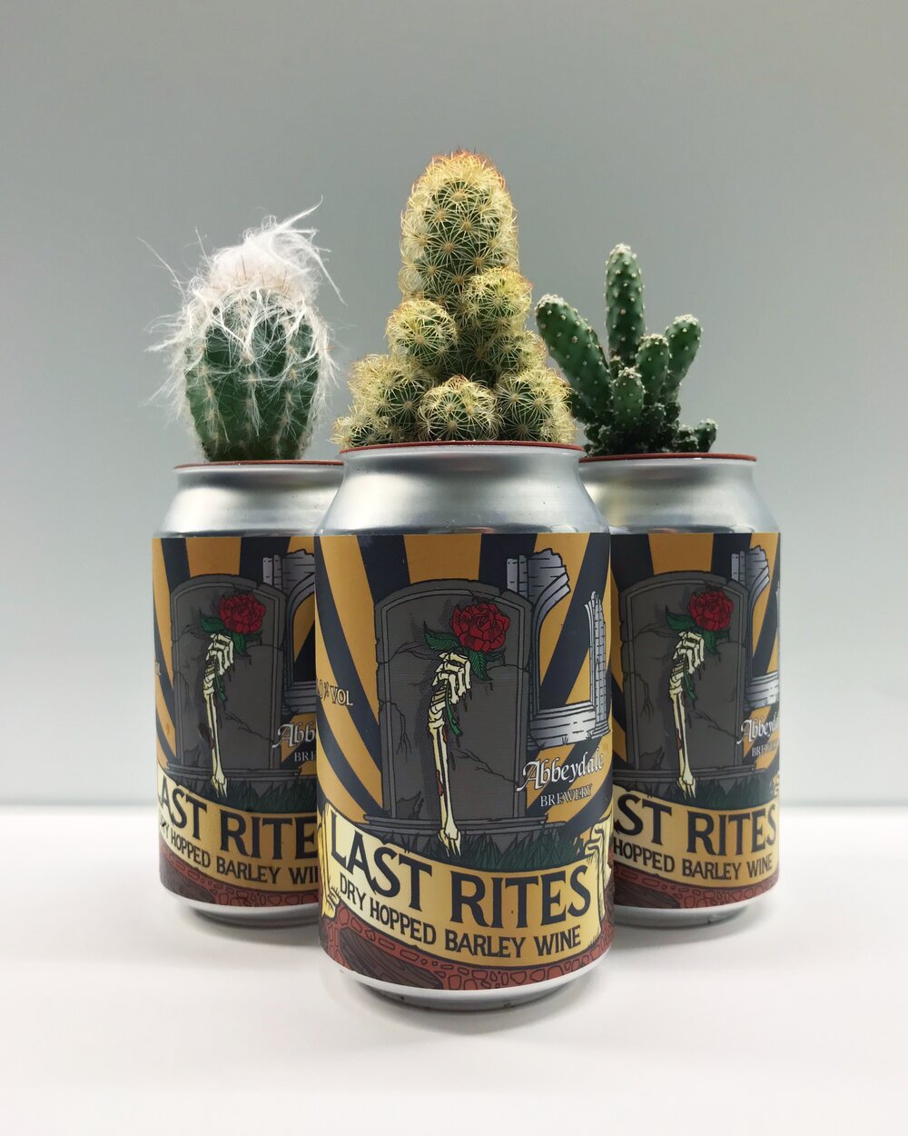 Cactus Can-1