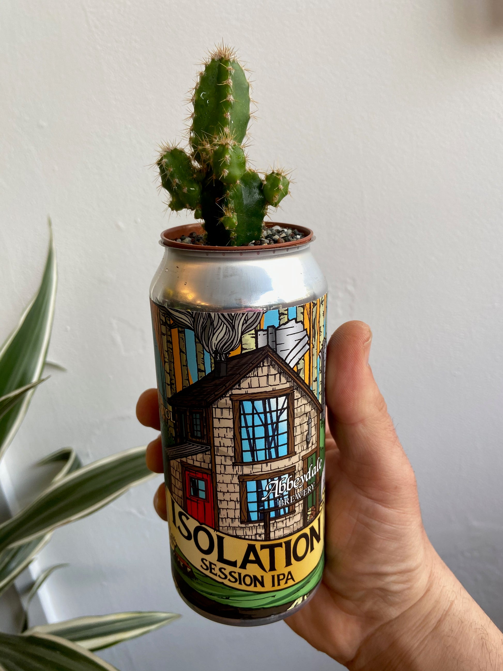 Cactus Can-5