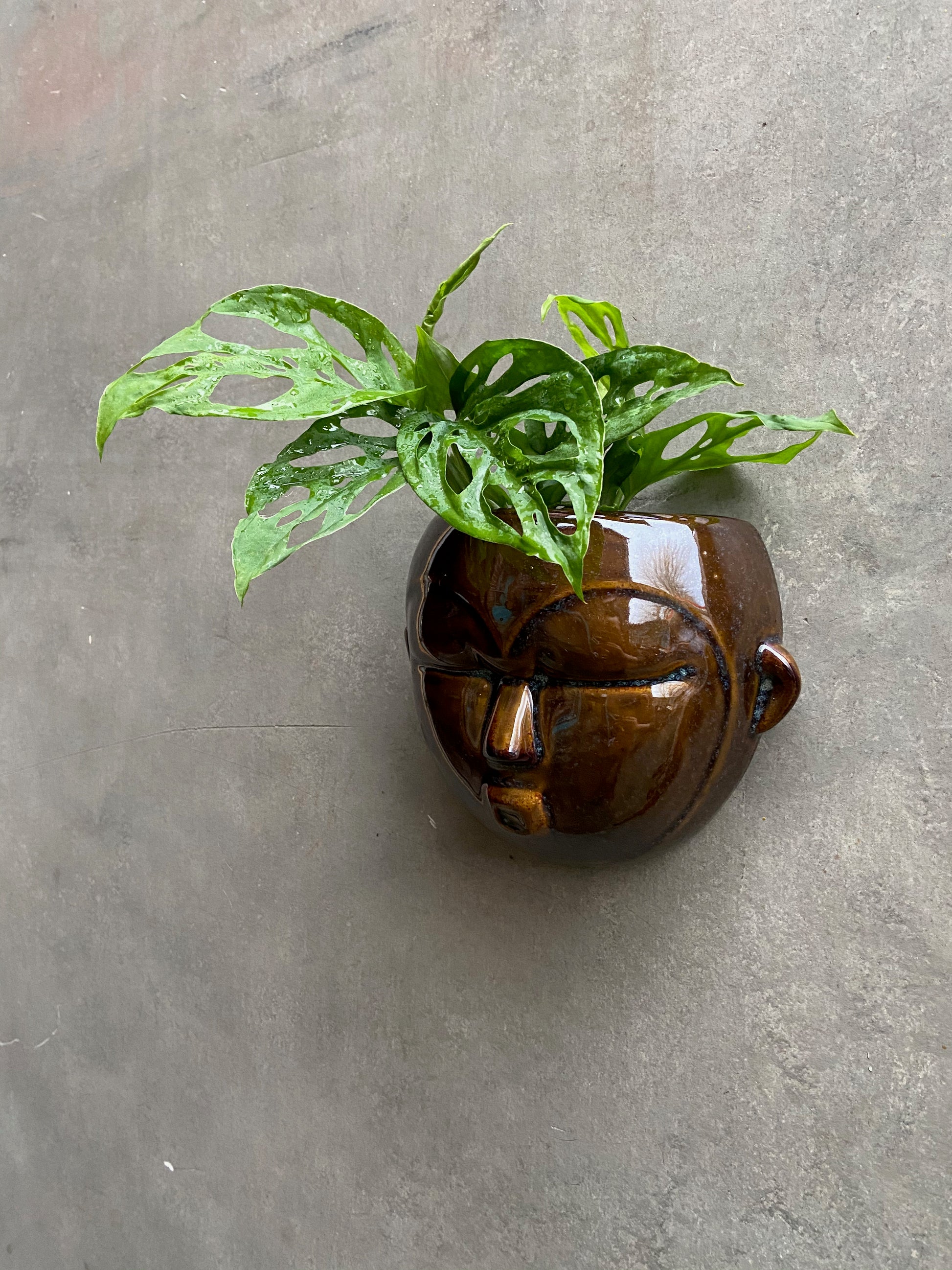 Face wall planters-7
