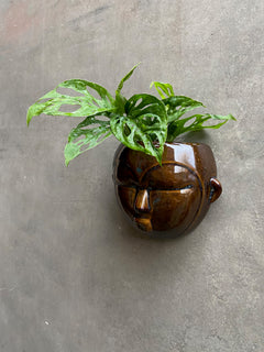 Face wall planters-7