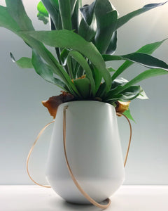 Skittle Hanging Pots (large)-5