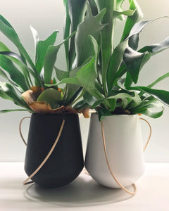 Skittle Hanging Pots (large)-6