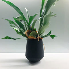 Skittle Hanging Pots (large)-4