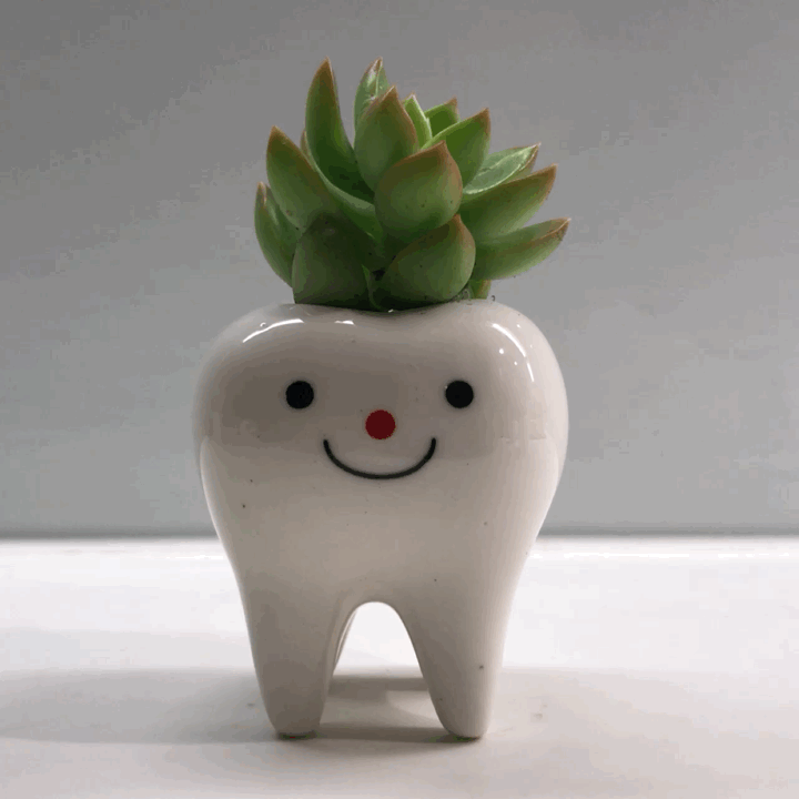 Toothy Pegs-9
