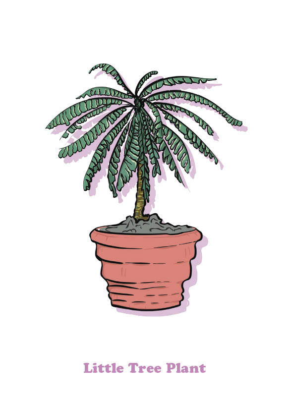 Little Tree Plant-1