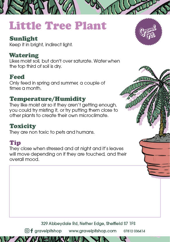 Little Tree Plant-2