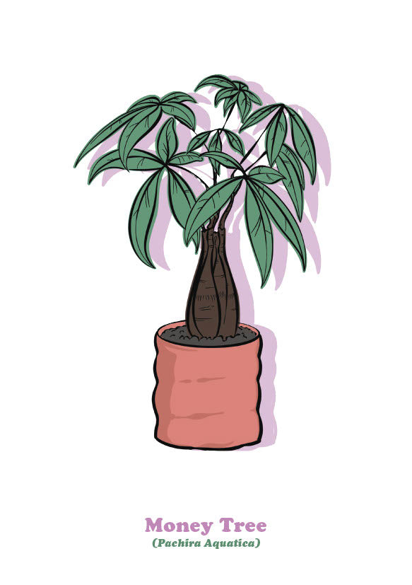 Money Tree